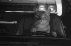 讲真！每个男人体内都住着一位“老司机”