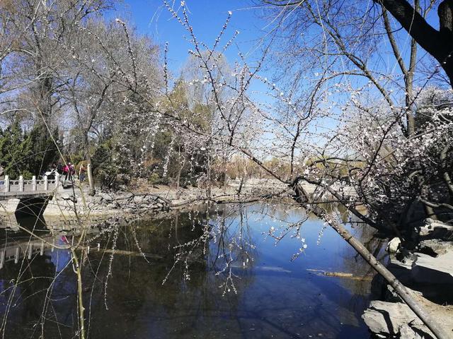 北京面积最大的高校——清华大学