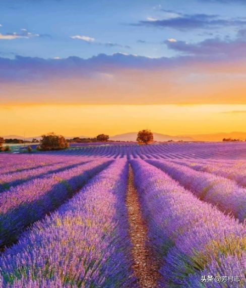 遇见·预感|开眼界！大广州下冰雹；国内油价将4连涨