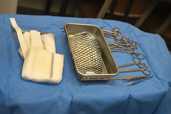 狗狗被碘酒烧伤皮肤,狗狗不幸烫伤又被死亡