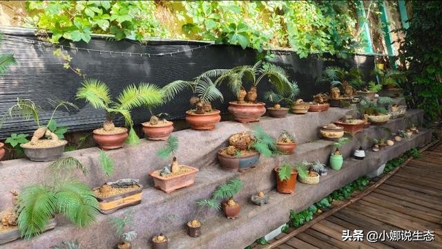 美如画的农场,美如画的生态园