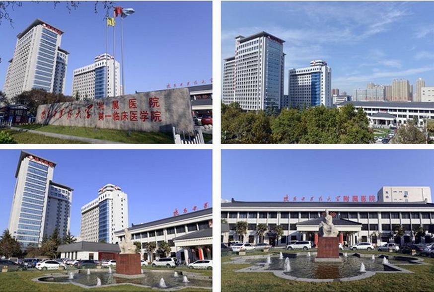 极限挑战中老年人,极限挑战老年人