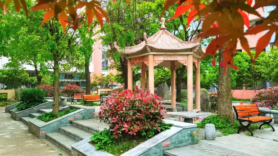 美景宜人更育人