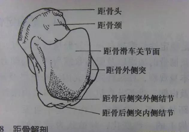 所有骨折都叫什么名字,骨折的名称有哪些