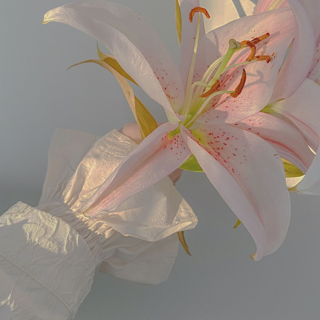 背景图片唯美仙气高清,朋友圈背景图唯美