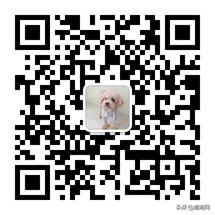 宠物营养膏是不是智商税,宠物营养膏配方和制作方法