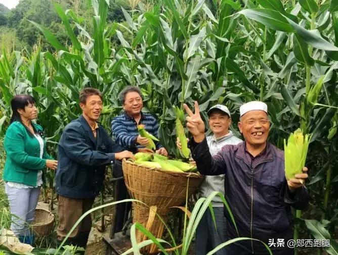 “爱国情奋斗者”之大山“愚公”魏登殿绝壁凿富路奋斗谱新篇