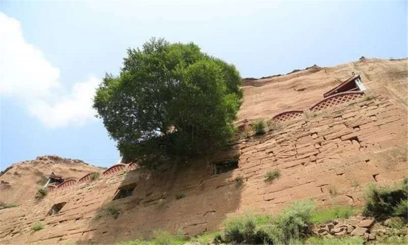 寻古探今,寻古觅今的视频