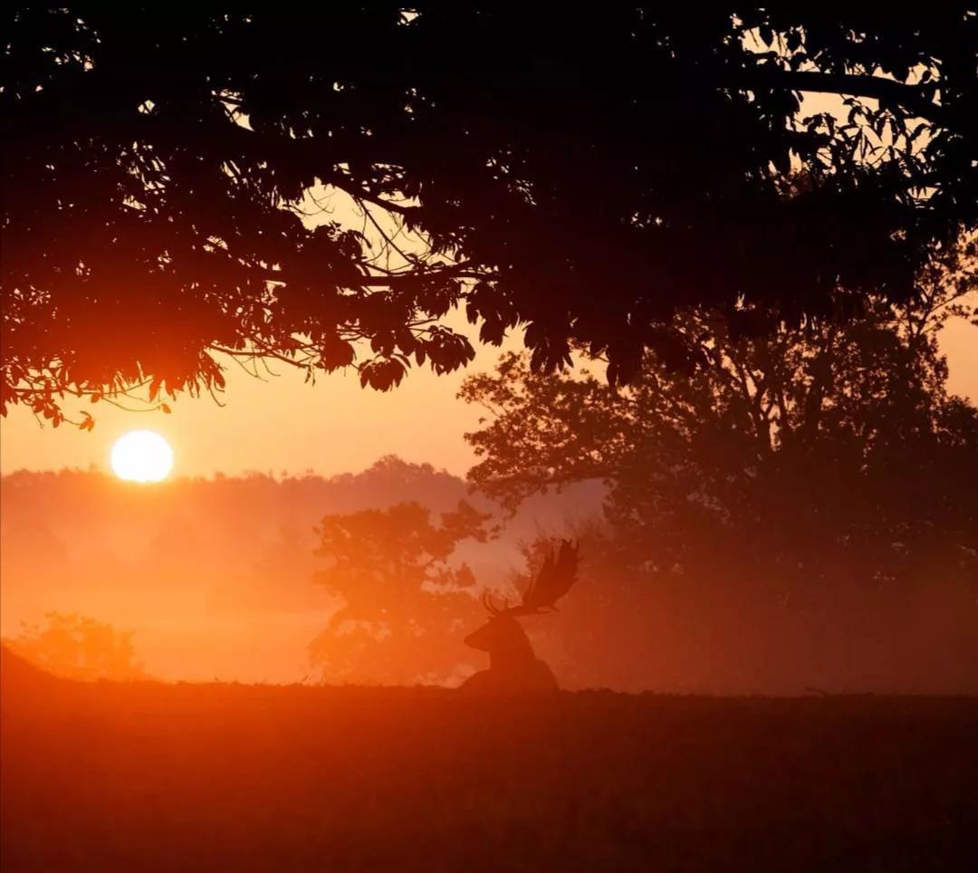 瑞雪古诗100首,瑞雪相关诗