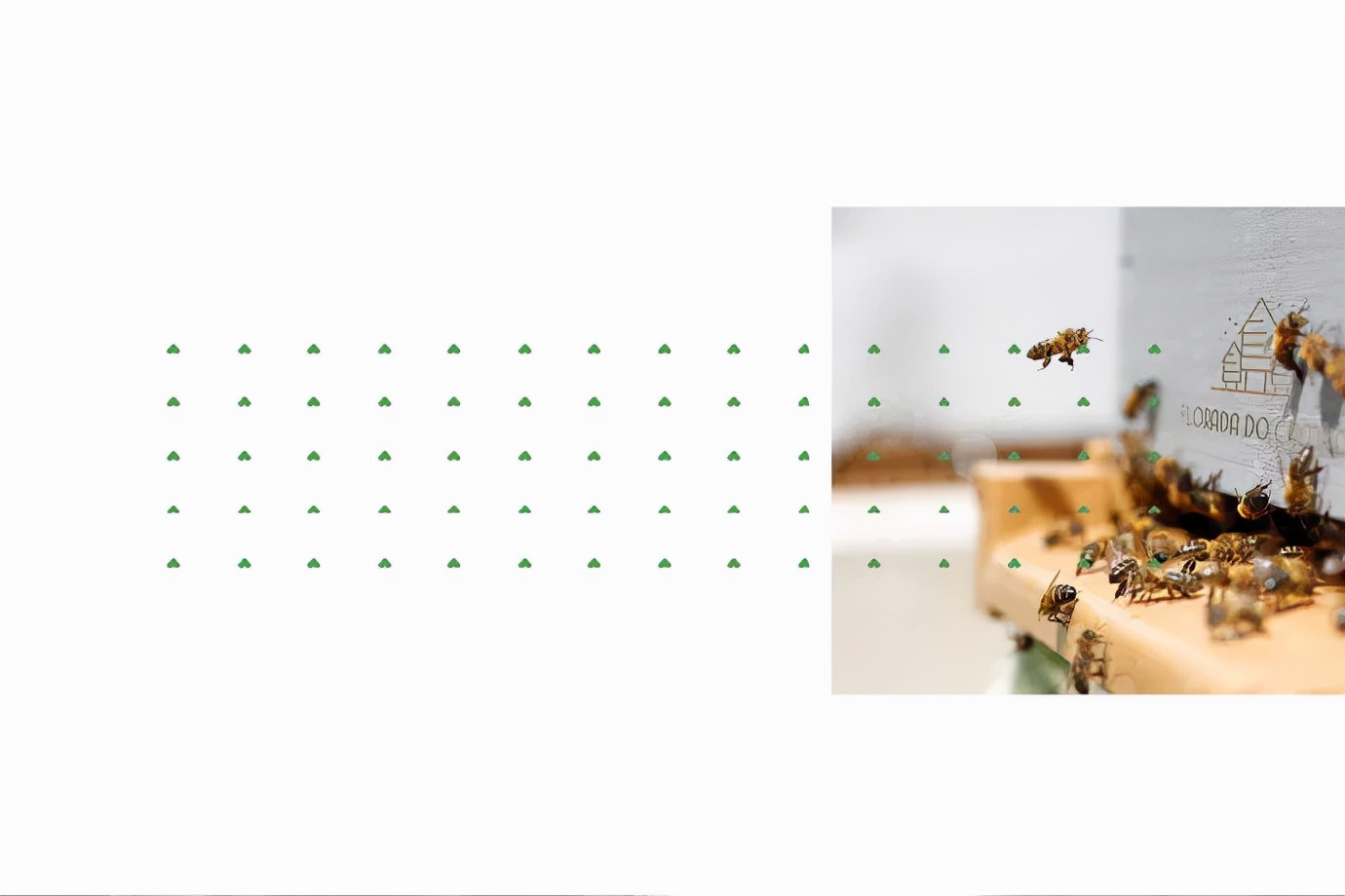 蜂蜜插画包装设计创意,高端蜂蜜产品包装设计