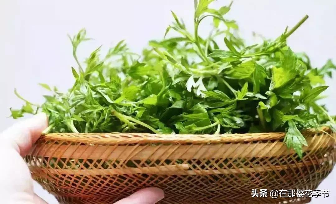 一位客家妈妈用艾草煮水给儿子洗澡，结果万万没想到...