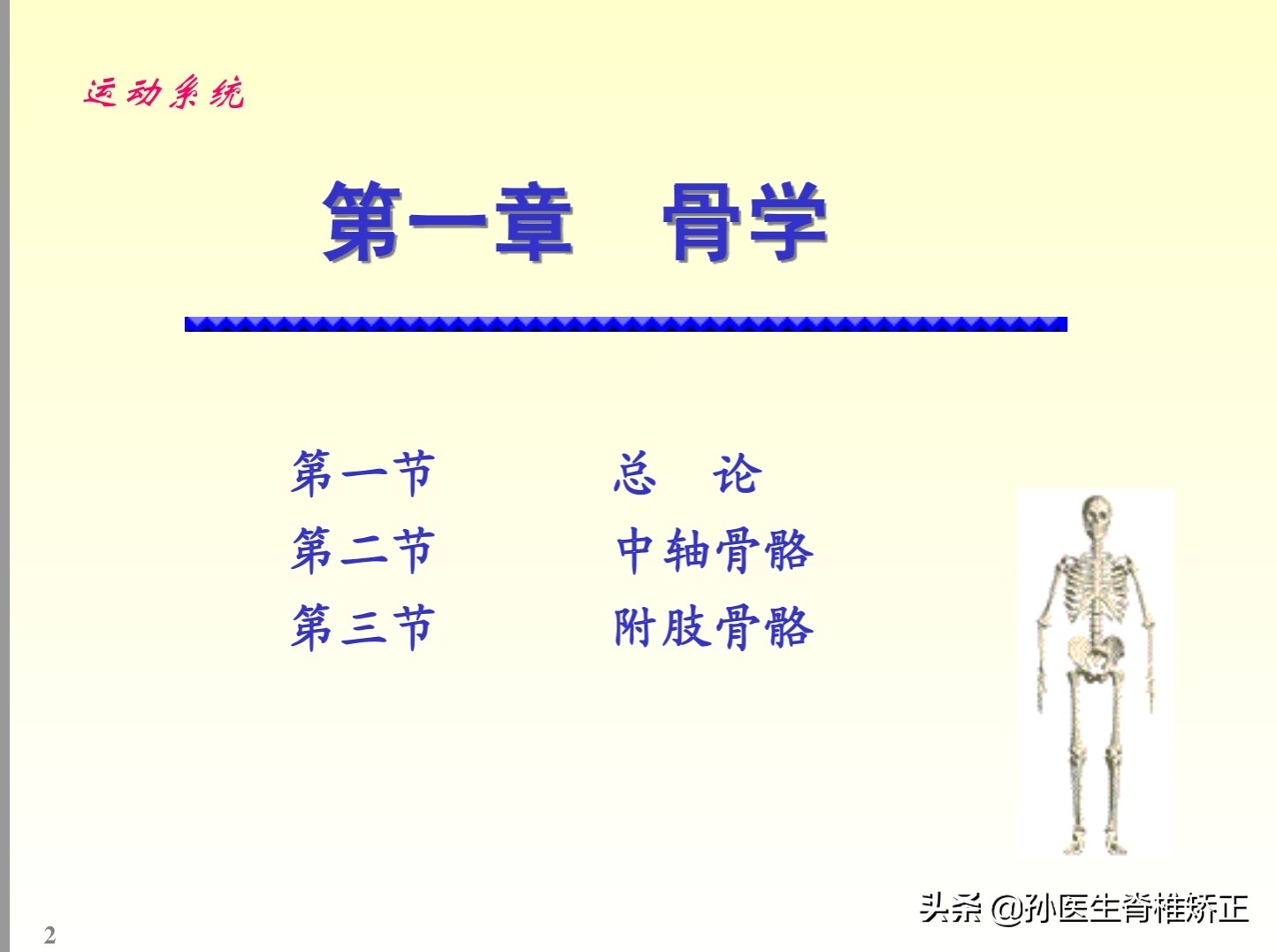 解剖学基础ppt完整版,人体系统解剖学ppt完整版