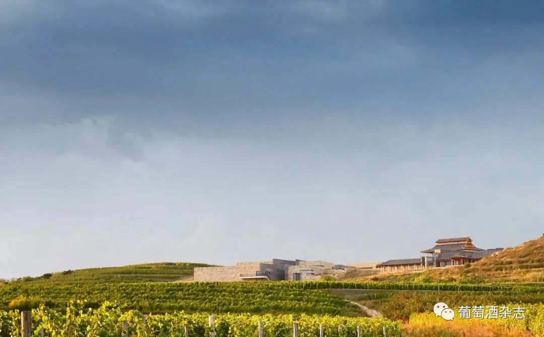 中国葡萄酒在中国市场的优劣,中国葡萄酒市场前景分析报告