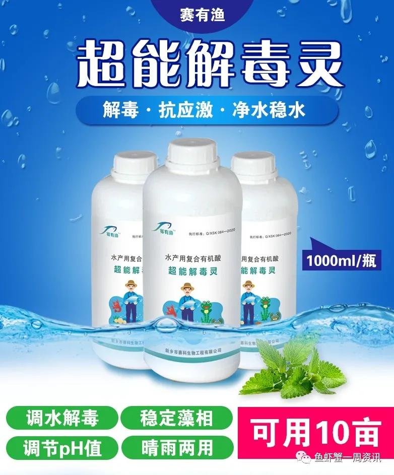 南美虾空肠空胃怎么解决,虾空肠空胃死亡原因