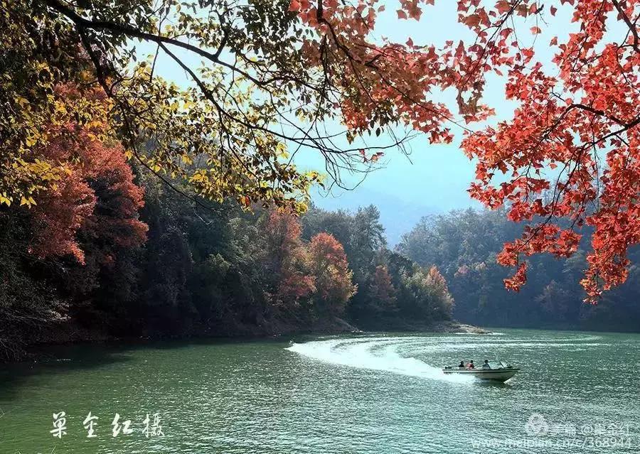 宝藏新公园周末好去处快来打卡,必打卡的宝藏公园