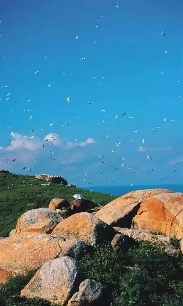 汕头揭阳旅游必去十大景点,汕头饶平旅游景点推荐自驾游