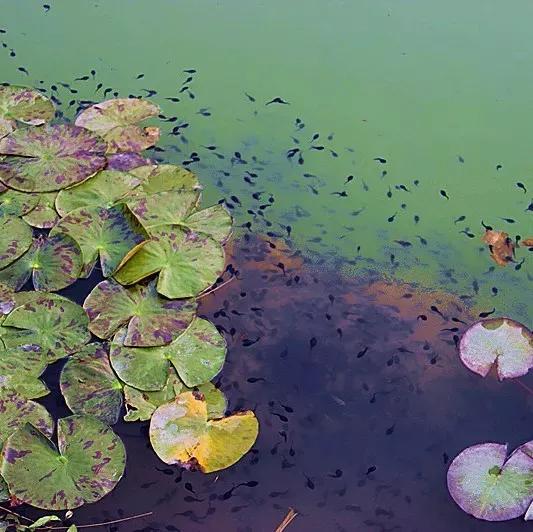 一去梵净，便懂了最美中国风