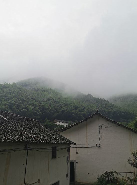 一场烟雨，把人困进仙境！藏在金华南山的这个小村，不求爆红，只求安静邂逅！