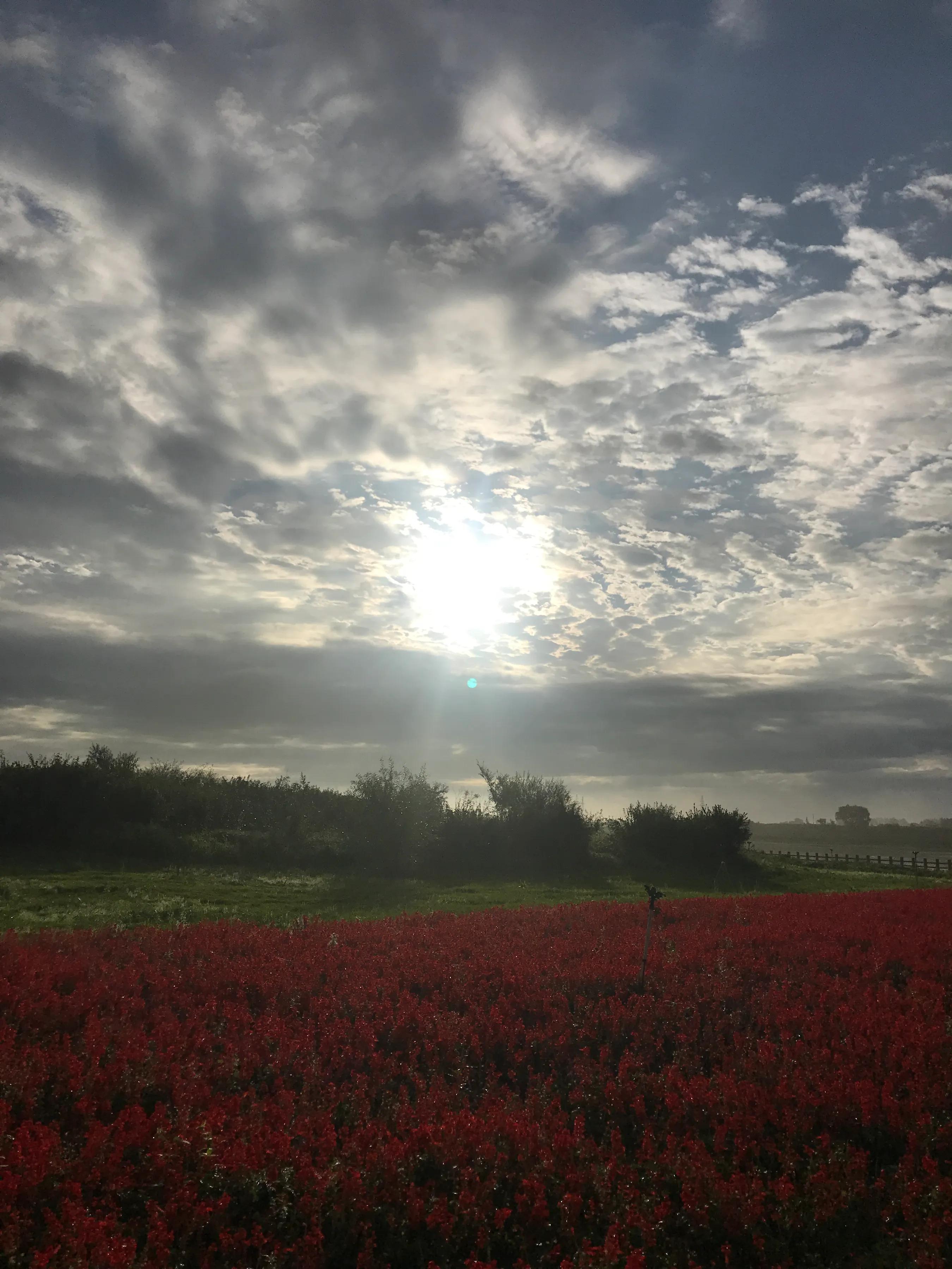 辉南街早市开了吗,辉南朝阳镇早市开门营业时间