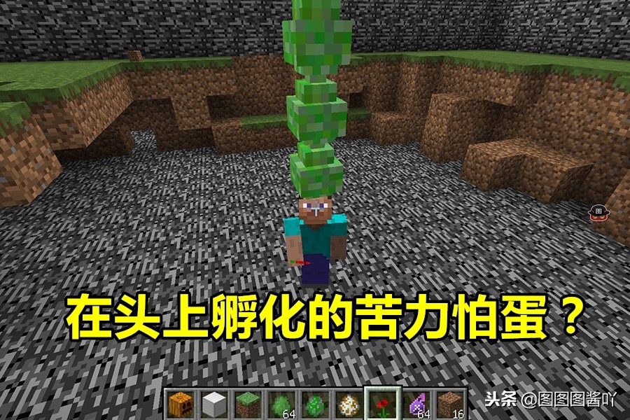 我的世界如何养一只苦力怕,我的世界怎么收养苦力怕