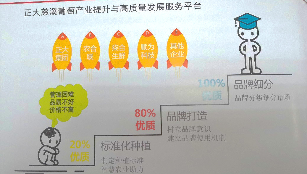 插上农业物联网的翅膀，慈溪葡萄能否扭转产业局面？