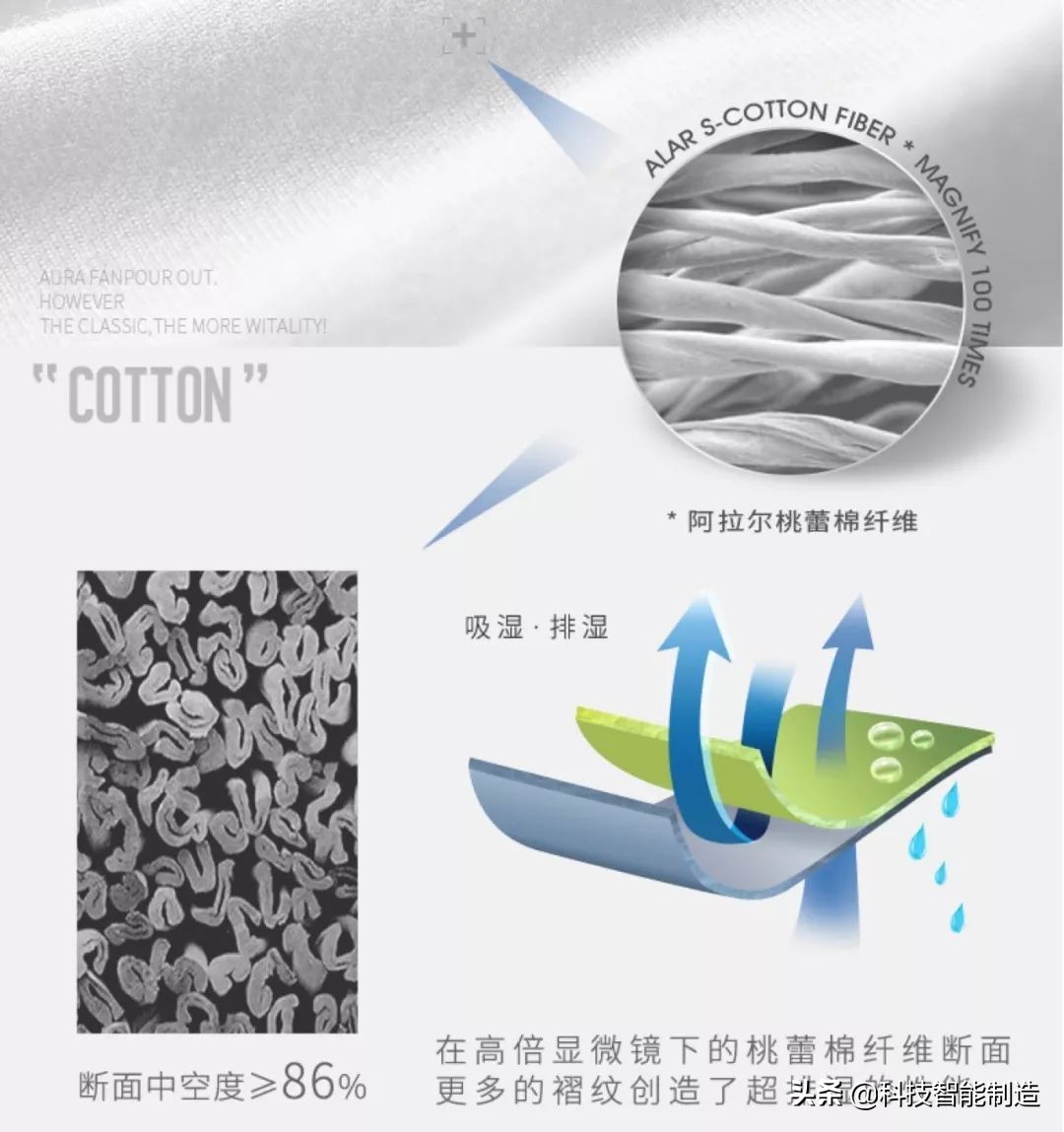 黑马t恤,黑马t恤女