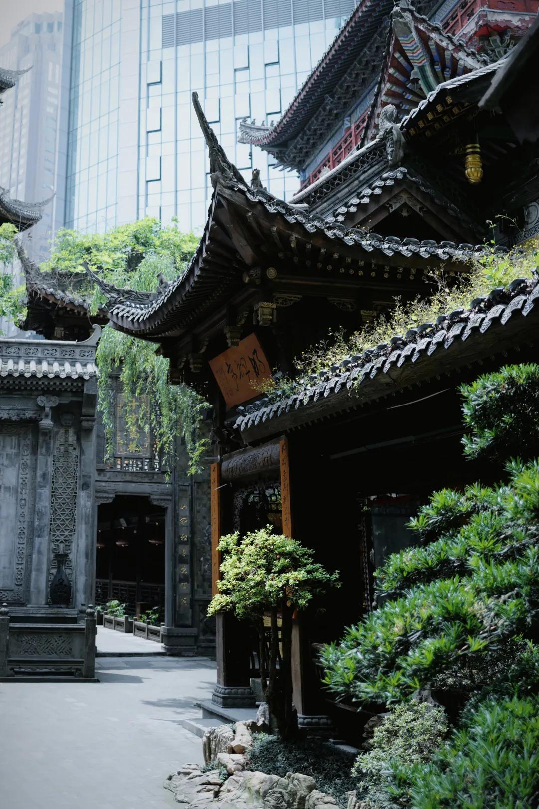 重庆旅行危险吗,重庆旅游真的不能去吗