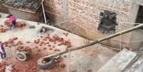 搞笑动图gif图片哪里下载,搞笑动图gif狗