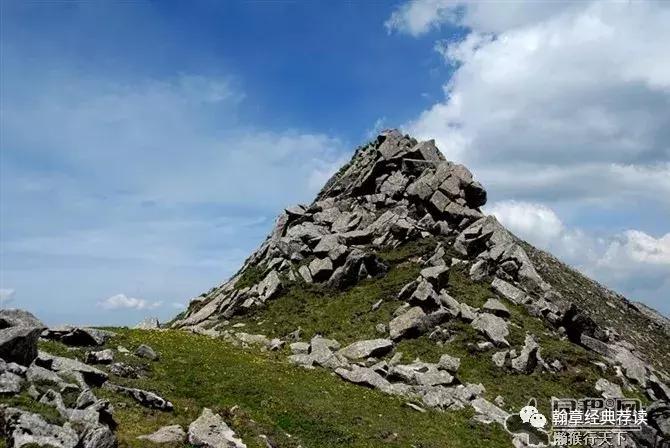 沈从文蝴蝶,沈从文萧萧推书