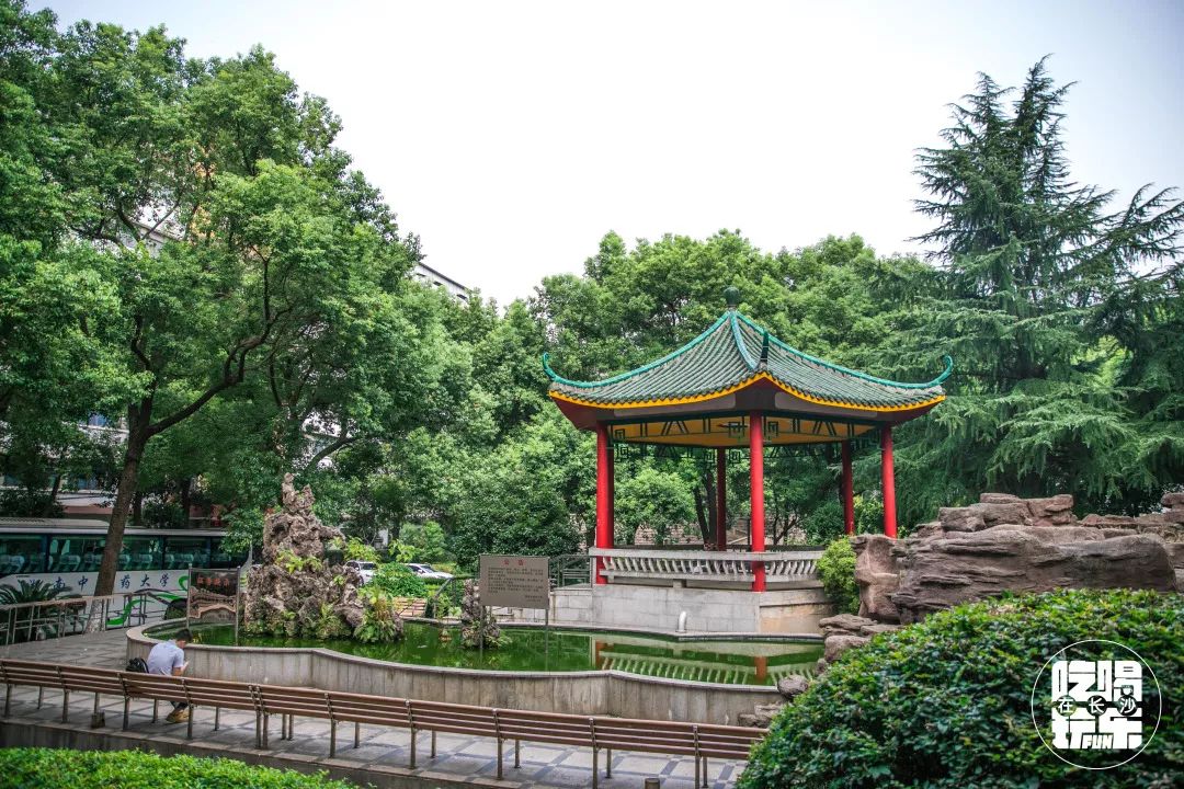 老实说，全长沙我只羡慕住在砂子塘的