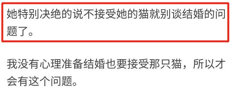 丢掉女朋友养了2年的猫,女朋友要求丢掉养了3年的猫