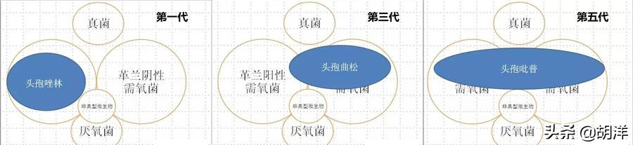 头孢霉素和这些联用效果降落不说，有些还会造成严重副反应