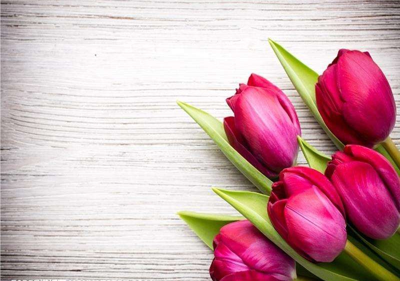 刘墉之子刘轩，手把手教你如何利用心理学，治愈“爱无能”