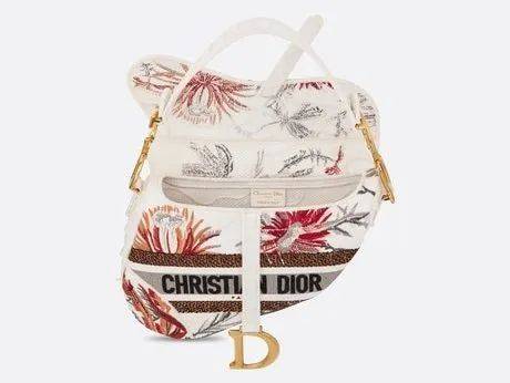 给迪奥一个机会，它就能带你邂逅浪漫秘境