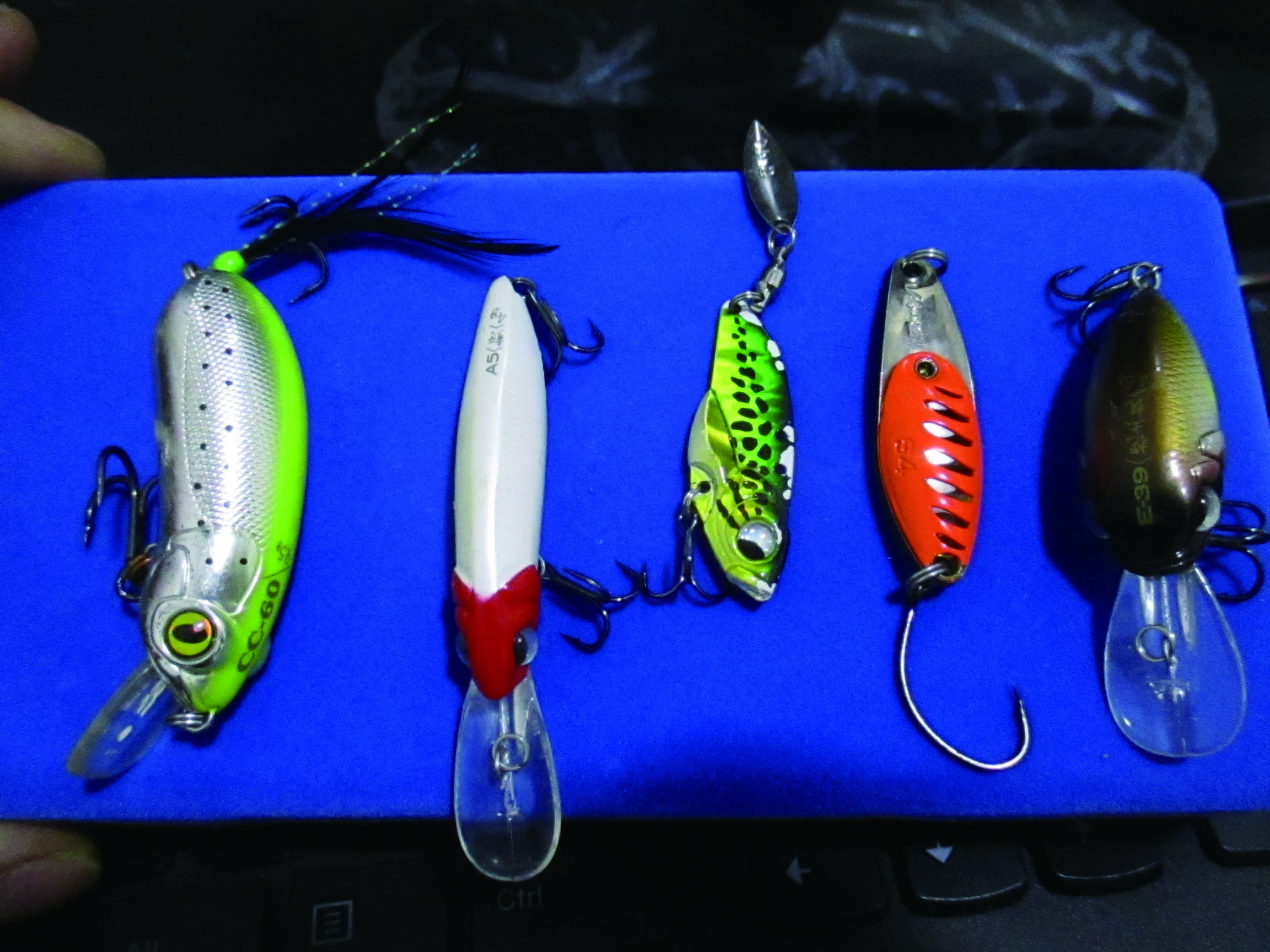 浑水走水钓翘嘴,浑水钓翘嘴怎么样