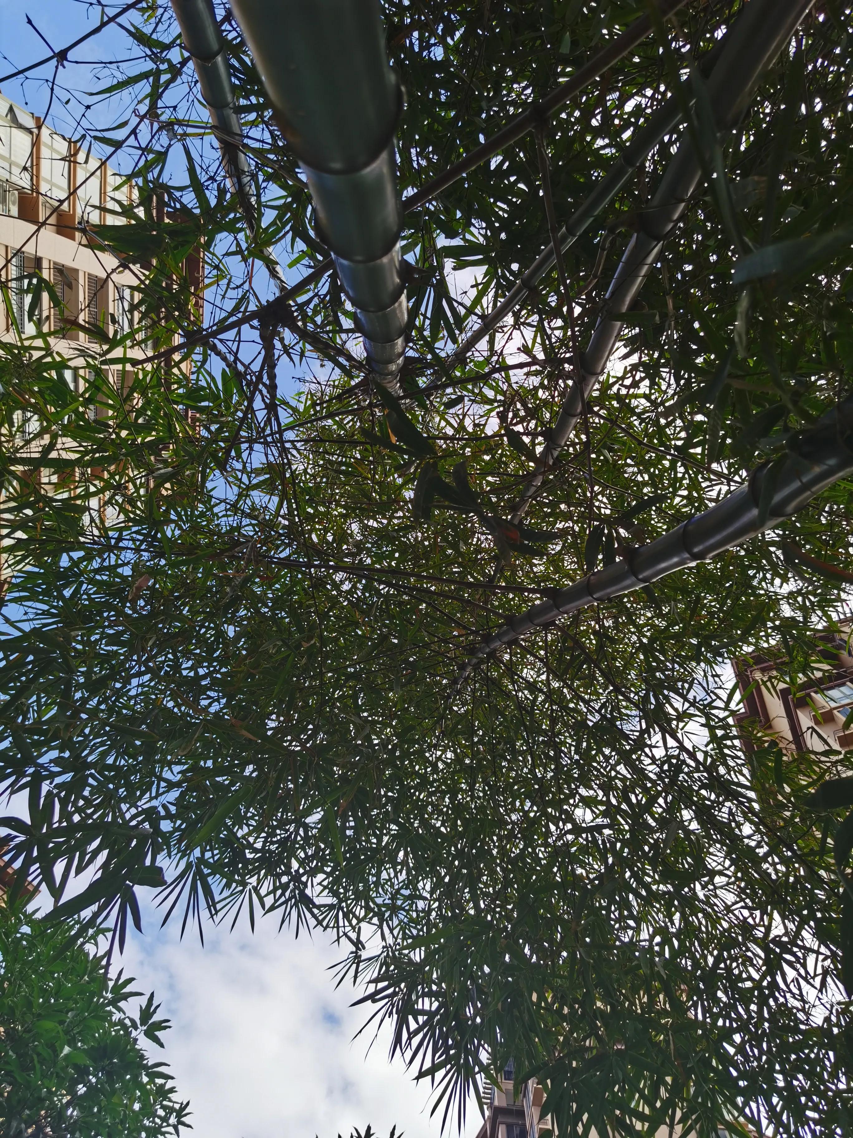 买房时关注千万别买这几层,租房买房关注事项