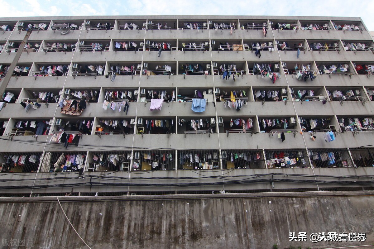 埋在心底的秘密全集,埋在心底的秘密知乎