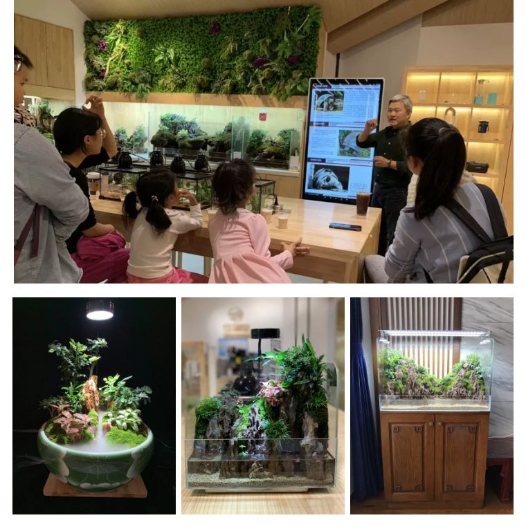 植物之美在于万物皆有情愫,植物之美有哪些