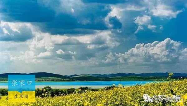 张家口最近有什么好消息,今日张家口新消息