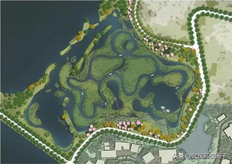 武汉东湖游玩攻略骑行路线,来武汉东湖绿道打卡玩法全攻略