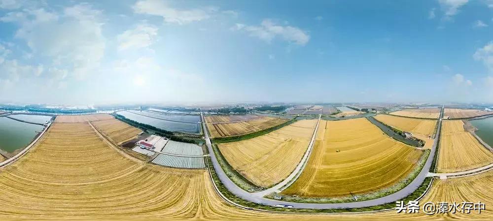 姜堰好吃又好玩的地方,56张美景图片大饱眼福