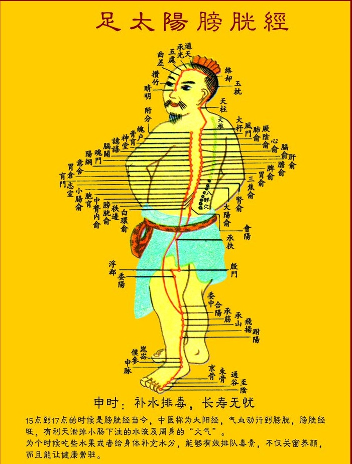 膀胱经为什么会堵,膀胱经不疏通