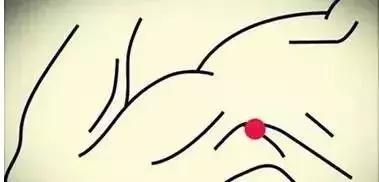 如果肝不好要调理哪个器官,肝脏不好拍打哪里好