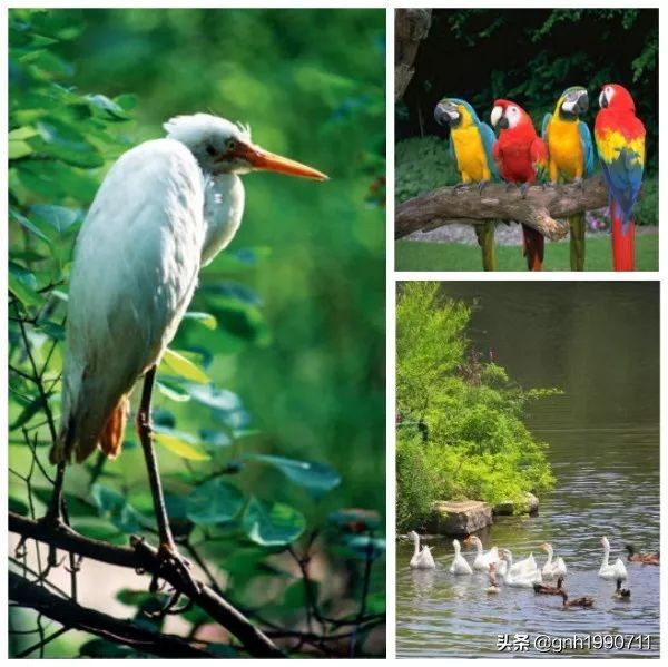 济南南部山区红叶谷几月去好,济南红叶谷旅游攻略视频