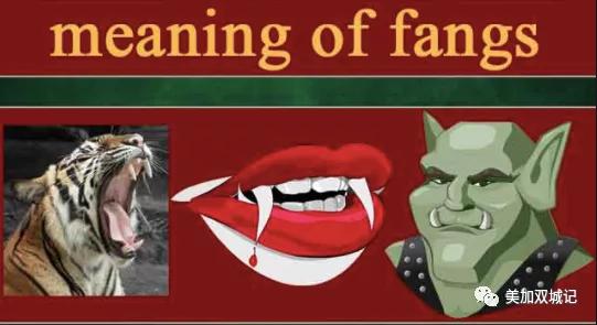 如何用中文名取英文名,中国人可以取英文姓名吗