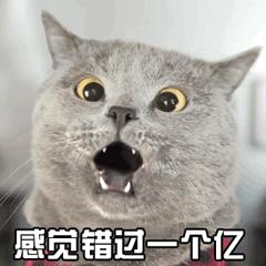 炒股专家都是靠谱的吗,专家教你炒股