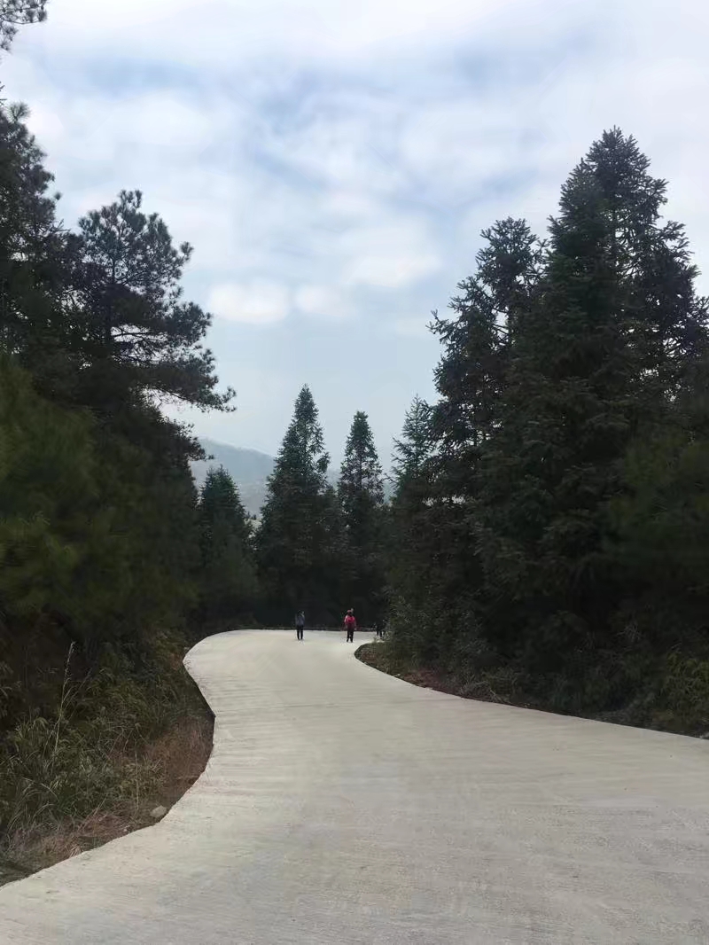 适合一个人去走走的厦门,人生最好的旅途就是经历的人和事