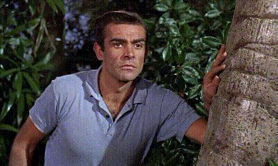 碟中谍2克莱尔弗兰妮,电影碟中谍2国语版