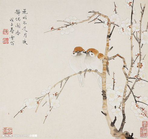 陈之佛工笔花鸟画技法解析,陈之佛花鸟画教程视频