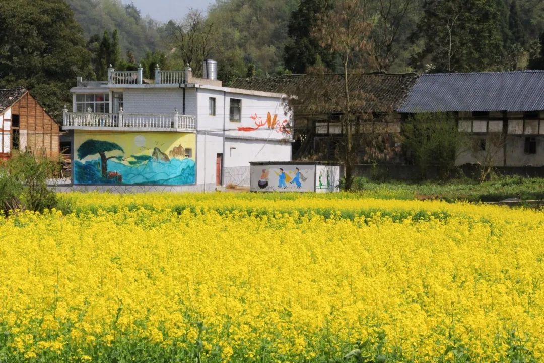 赏春图鉴丨赏花海、品清茶、尝美食...乌当百宜镇这条宝藏春游线路，就等你来打卡啦！